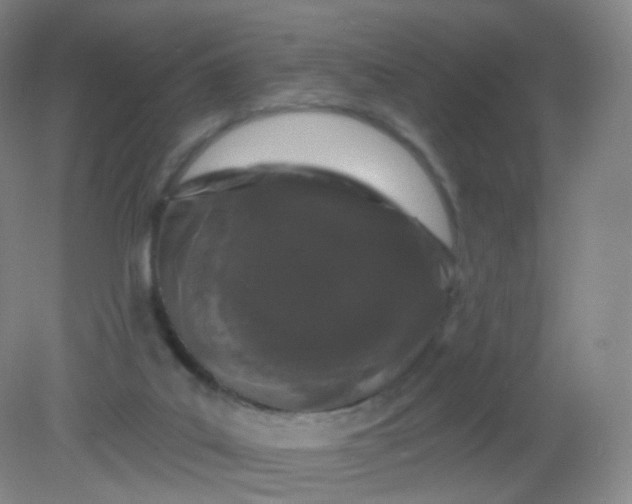 X0000082180019200702021804