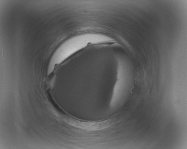 X0000082180023200702021804
