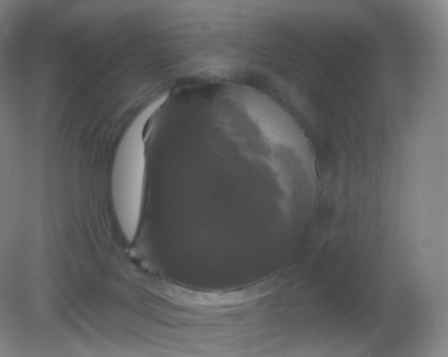X0000082180027200702021804