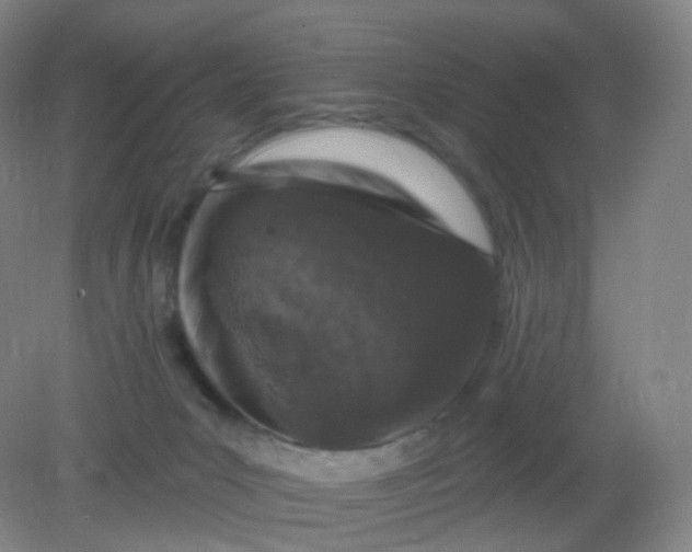 X0000082180031200702021804
