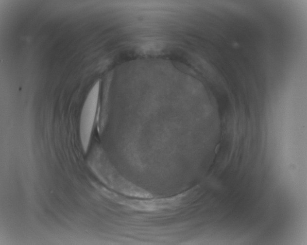 X0000082180033200702021804