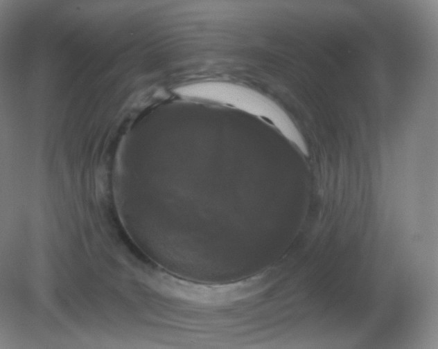 X0000082180035200702021804