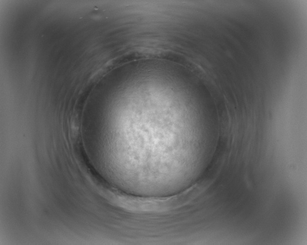 X0000082180040200702021804