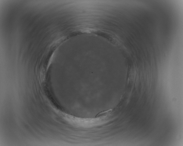 X0000082180043200702021804