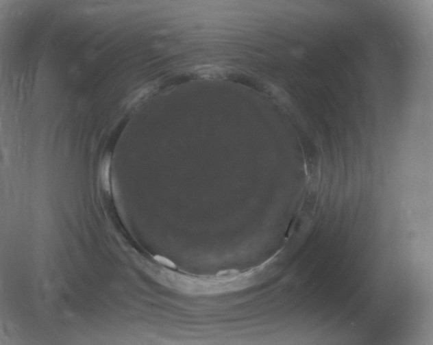 X0000082180047200702021803