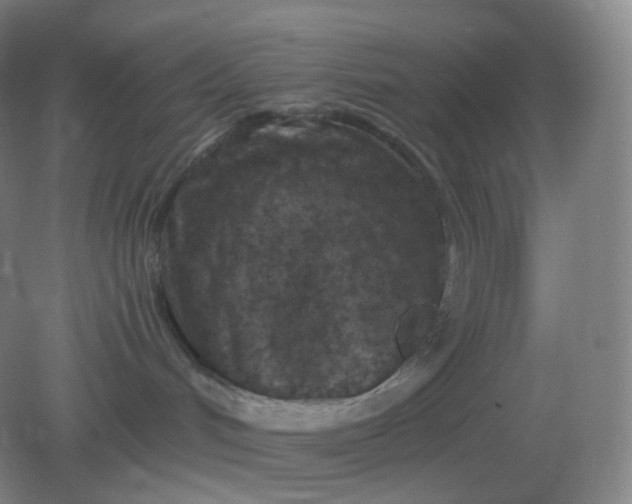 X0000082180048200702021803