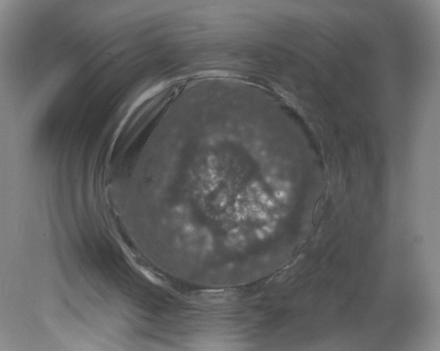 X0000082180050200702021803