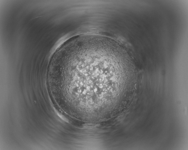 X0000082180051200702021803