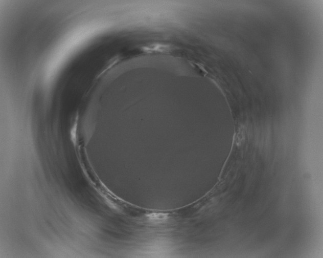 X0000082180052200702021803
