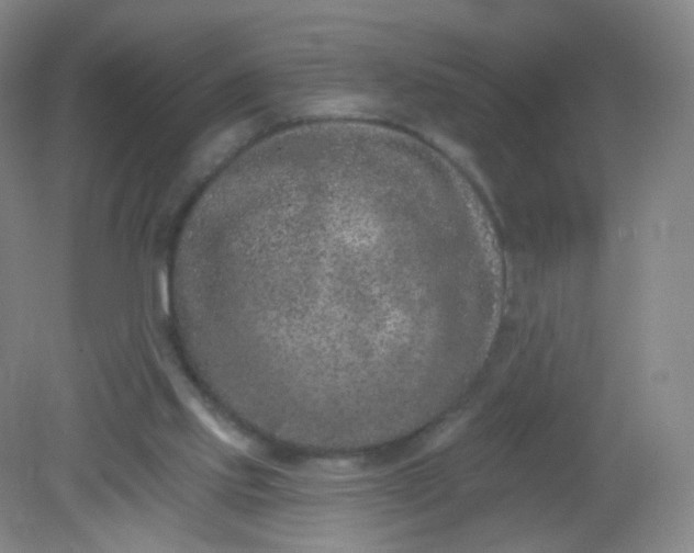 X0000082180061200702021803
