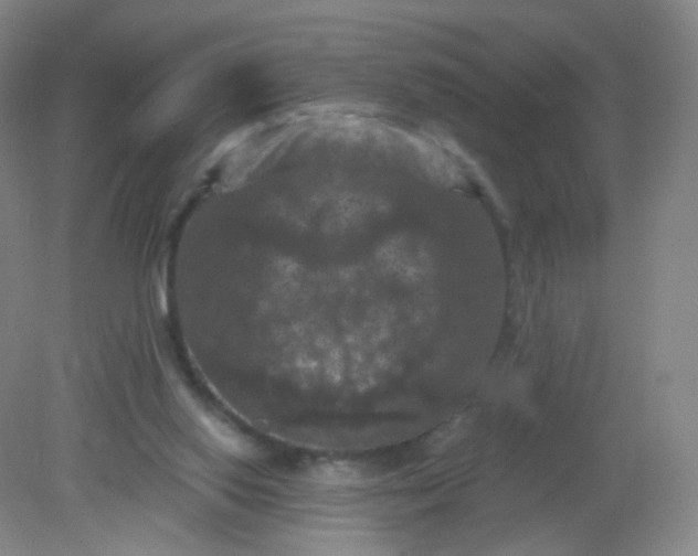 X0000082180062200702021803