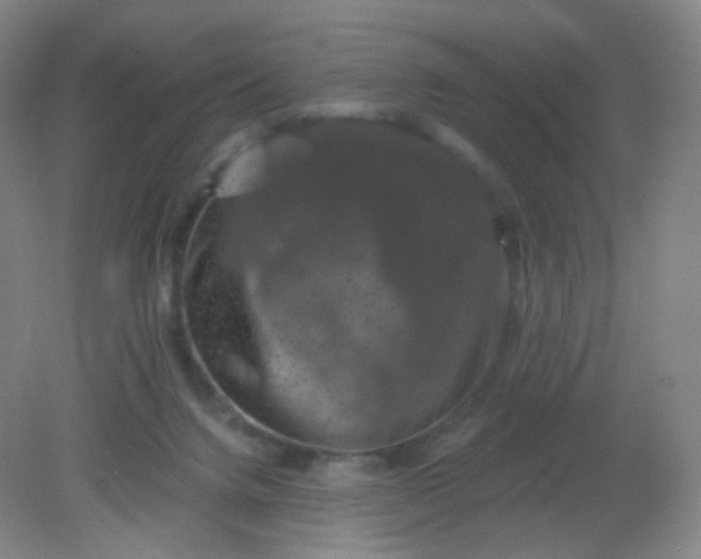 X0000082180072200702021803