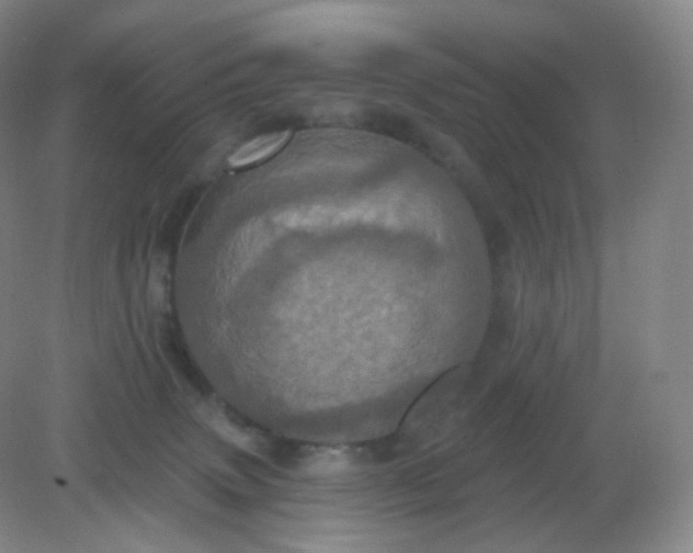 X0000082180083200702021803