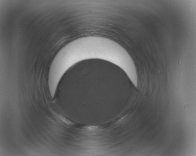 X0000082180092200702021803