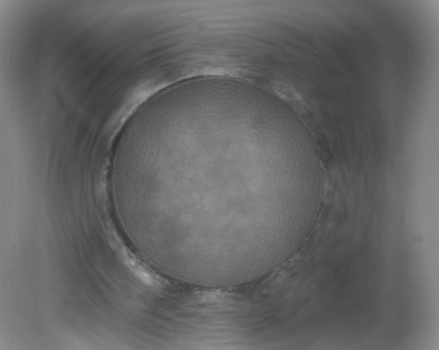 X0000082180098200702021803