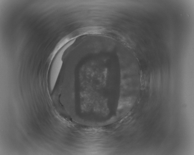 X0000082180099200702021803