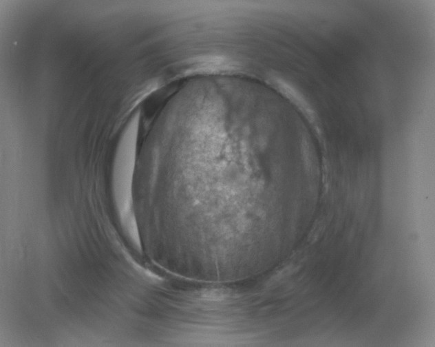 X0000082180105200702021803