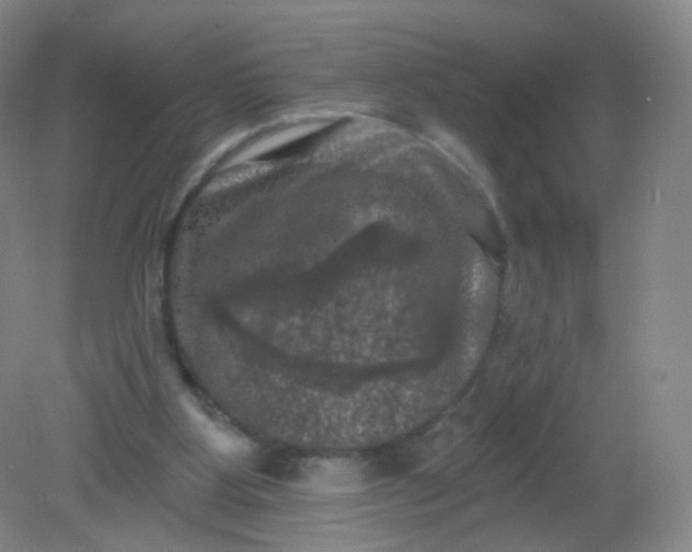 X0000082180107200702021802