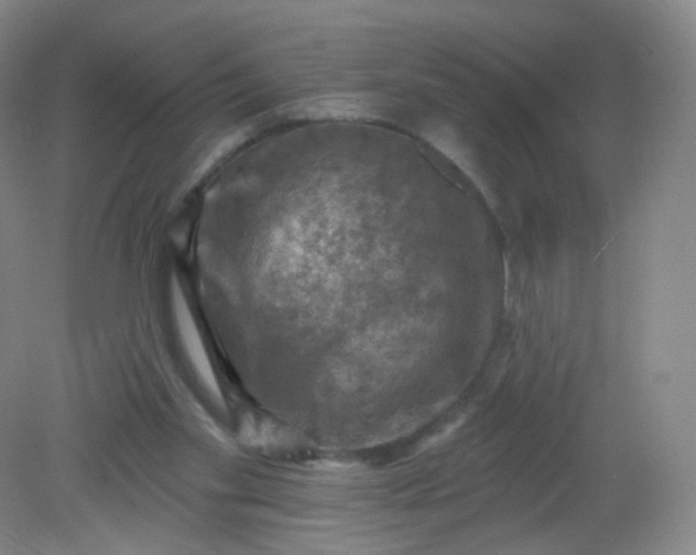 X0000082180109200702021802