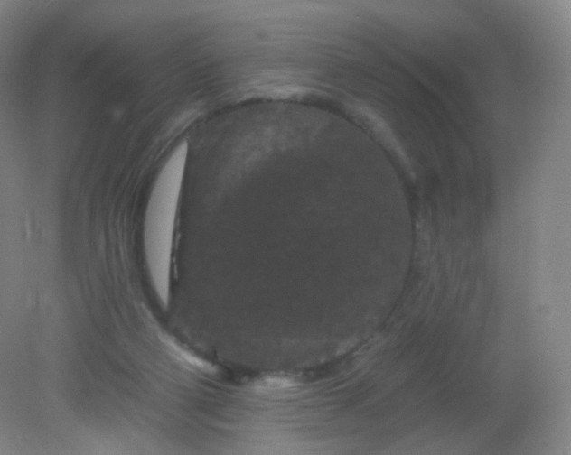 X0000082180114200702021802