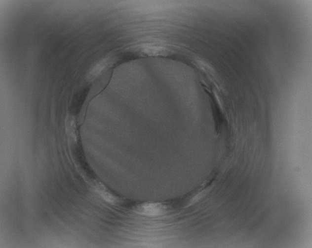 X0000082180121200702021802