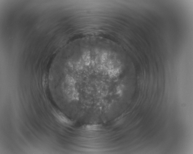 X0000082180134200702021802