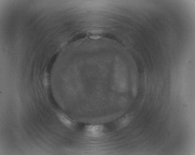 X0000082180135200702021802