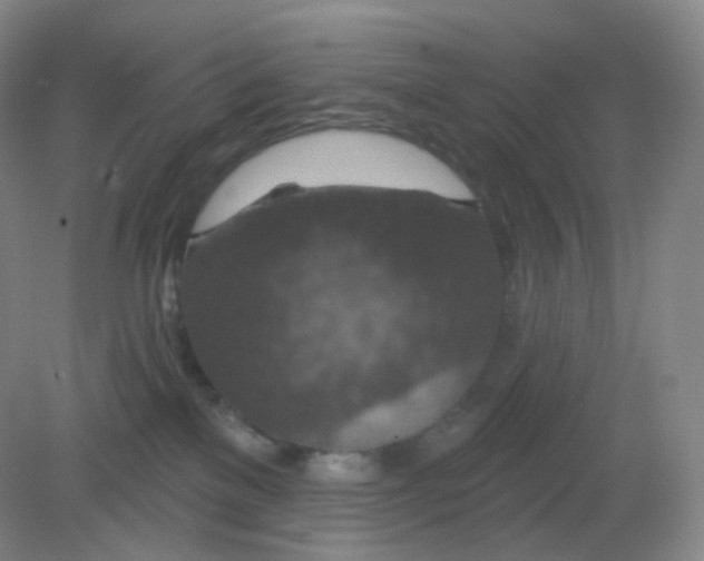 X0000082180137200702021802