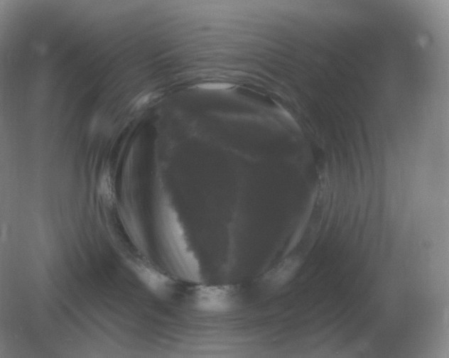 X0000082180143200702021802
