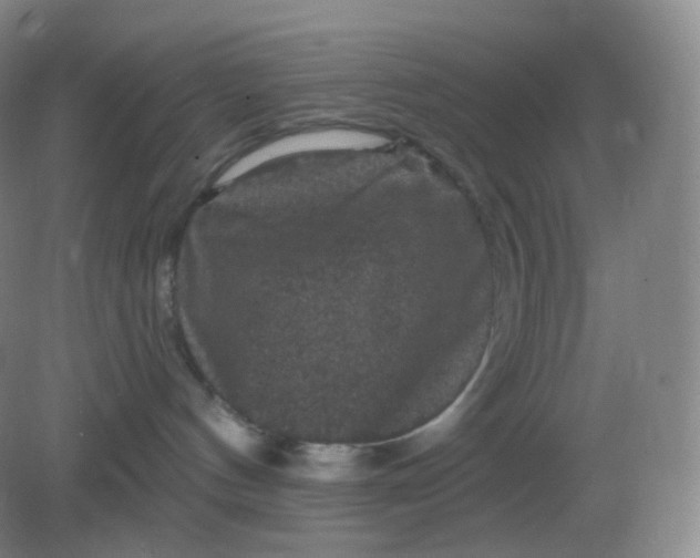 X0000082180144200702021802