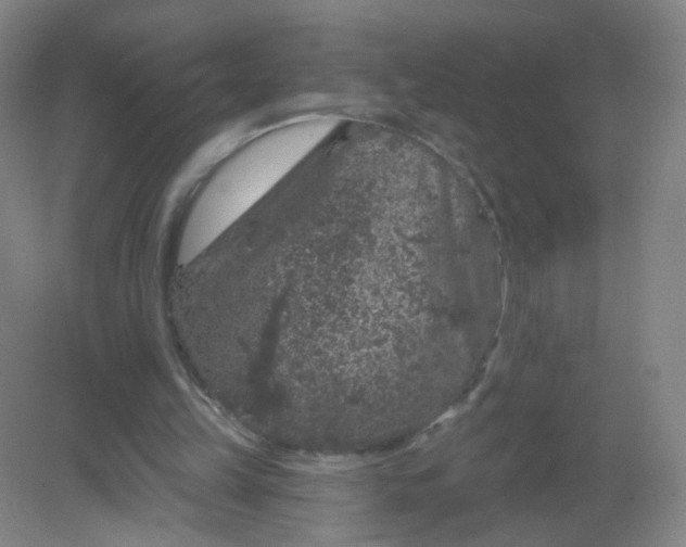 X0000082180149200702021801