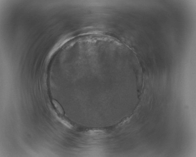 X0000082180150200702021801