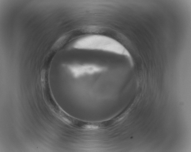 X0000082180167200702021801