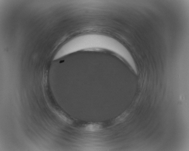 X0000082180168200702021801