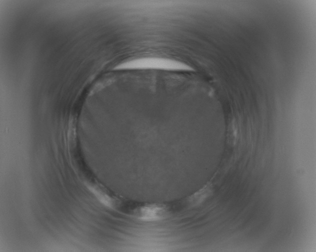 X0000082180172200702021802