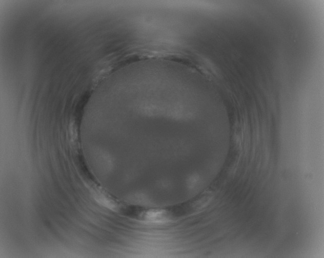X0000082180173200702021802