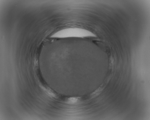X0000082180176200702021802