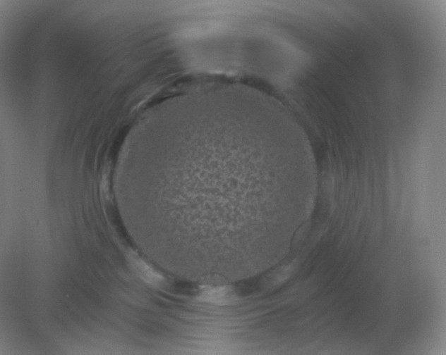 X0000082180185200702021802