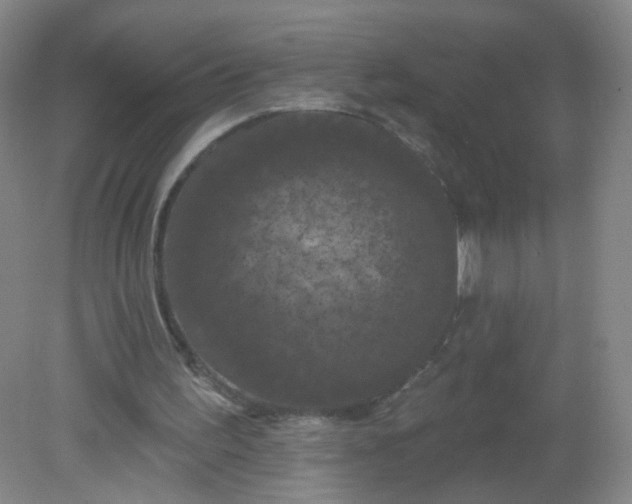 X0000082180195200702021801