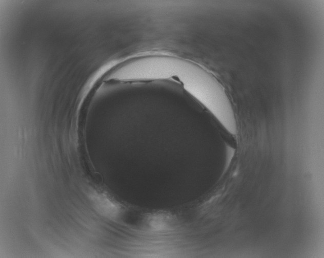X0000082180200200702021801