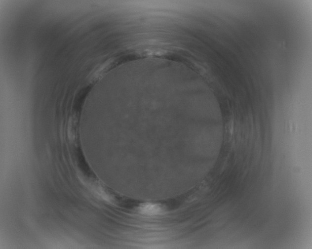 X0000082180218200702021801
