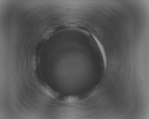 X0000082180223200702021801