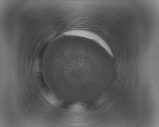 X0000082180224200702021801