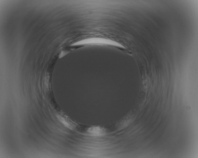 X0000082180231200702021800
