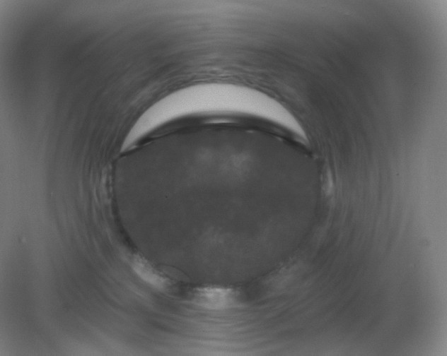 X0000082180233200702021800
