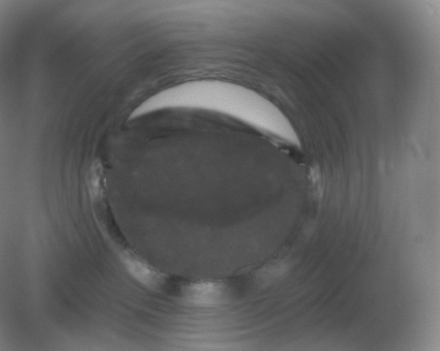 X0000082180237200702021800