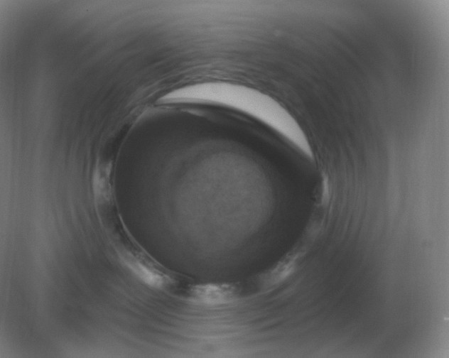 X0000082180239200702021800