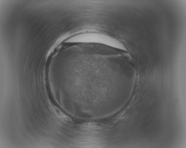 X0000082180244200702021759
