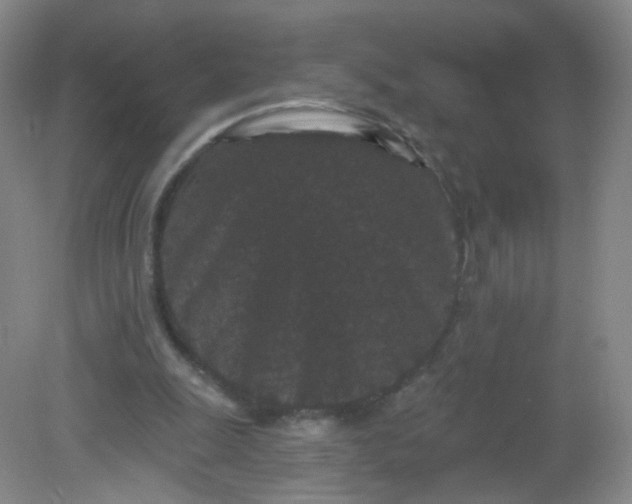 X0000082180247200702021800