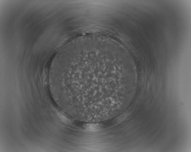 X0000082180273200702021800